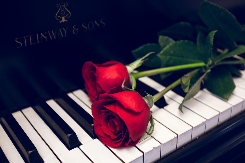 Rose Garden Bed And Breakfast Торонто Экстерьер фото